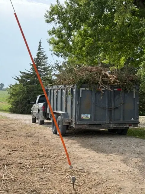 Dump trailer loaded with branches after land clearing