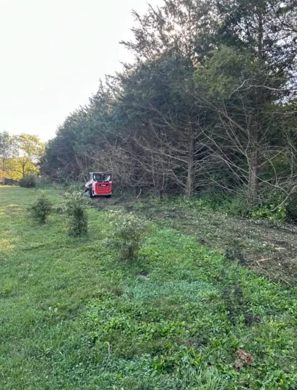 Equipment mowing an overgrown field edge